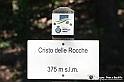 VBS_4741 - Il bosco fatato - Montaldo Roero